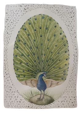Aves y plumas